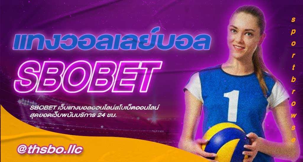 แทงวอลเลย์บอล การพนันกีฬาออนไลน์ที่ทำกำไรได้ง่าย กับเว็บ SBOBET